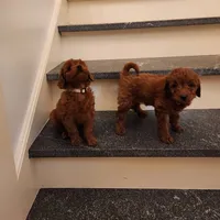 processed/00c93031-bb2e-476b-859d-81cfdf525fe6/facility/fa296a6d-0576-41d8-bef9-86b007a97af6