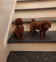 processed/00c93031-bb2e-476b-859d-81cfdf525fe6/facility/fa296a6d-0576-41d8-bef9-86b007a97af6