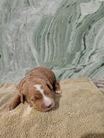 processed/00c93031-bb2e-476b-859d-81cfdf525fe6/listing/cf3cb45a-23b1-4bed-be4d-2b14fafab80e/81d55d0a-8b53-49f6-9849-2f25a43c3216