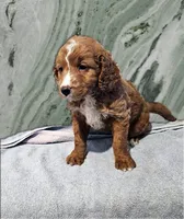 processed/00c93031-bb2e-476b-859d-81cfdf525fe6/listing/cf3cb45a-23b1-4bed-be4d-2b14fafab80e/aca0fade-475b-45cc-be97-676d8b4083da