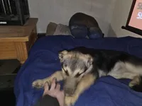 processed/00ca6506-4cf2-4c7a-8d00-9cb0b731302f/listing/fc43880a-1eff-49e3-b607-7ee98b258997/d4142c3d-f85f-486f-ad0a-f8e3b1c71b70