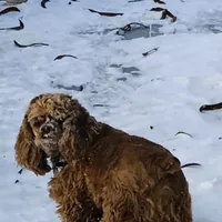 processed/00cce29b-71e5-4348-8ba5-3de6ca39a019/facility/0507b82f-b29c-4ba9-9074-040ced05df82