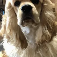 processed/00cce29b-71e5-4348-8ba5-3de6ca39a019/facility/36fd106c-75e4-4781-81f1-53a98c550f25