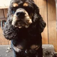 processed/00cce29b-71e5-4348-8ba5-3de6ca39a019/facility/48a80005-f3fc-4951-b145-199b8fd8fbc8