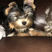 processed/00cce29b-71e5-4348-8ba5-3de6ca39a019/facility/4ff6791f-9280-4820-9524-466dc5b7ef88