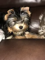 processed/00cce29b-71e5-4348-8ba5-3de6ca39a019/facility/4ff6791f-9280-4820-9524-466dc5b7ef88