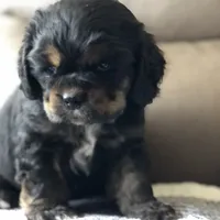 processed/00cce29b-71e5-4348-8ba5-3de6ca39a019/facility/553b71d7-dc18-44ed-850b-1496618c1f5b