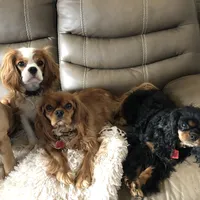 processed/00cce29b-71e5-4348-8ba5-3de6ca39a019/facility/6f577541-fd3c-4358-a1d5-7b95419d9309