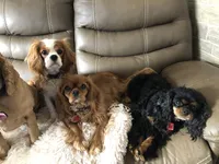 processed/00cce29b-71e5-4348-8ba5-3de6ca39a019/facility/6f577541-fd3c-4358-a1d5-7b95419d9309