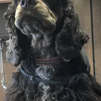 processed/00cce29b-71e5-4348-8ba5-3de6ca39a019/facility/7a1e8978-3937-4dd0-a0da-d645c9e3ce4b