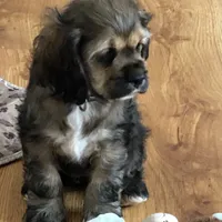 processed/00cce29b-71e5-4348-8ba5-3de6ca39a019/facility/c21f9d0e-c083-414e-9847-f3f75693ad5b