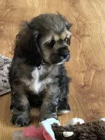 processed/00cce29b-71e5-4348-8ba5-3de6ca39a019/facility/c21f9d0e-c083-414e-9847-f3f75693ad5b