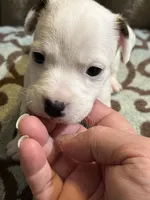 processed/00d233c6-18db-4de4-9689-b847a0ca2324/listing/849cce5e-cd97-41d6-a63b-f250b1e97566/24c3bbee-df68-4239-b41e-6a5410ee1c4e