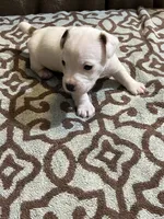 processed/00d233c6-18db-4de4-9689-b847a0ca2324/listing/849cce5e-cd97-41d6-a63b-f250b1e97566/72d17c02-6d8a-4491-940b-6217130daf77