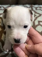 processed/00d233c6-18db-4de4-9689-b847a0ca2324/listing/849cce5e-cd97-41d6-a63b-f250b1e97566/b4f5c82d-47a1-49d0-bb81-0ae013b43159