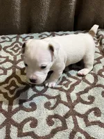 processed/00d233c6-18db-4de4-9689-b847a0ca2324/listing/849cce5e-cd97-41d6-a63b-f250b1e97566/cff8ea23-14b7-40c8-af46-9bddbf50efba