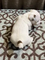 processed/00d233c6-18db-4de4-9689-b847a0ca2324/listing/849cce5e-cd97-41d6-a63b-f250b1e97566/d9f25287-3c4b-46ed-8fb3-1f0dd201cd52