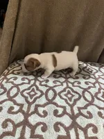 processed/00d233c6-18db-4de4-9689-b847a0ca2324/listing/891eb1ac-673c-49ff-bfb3-d8e404df6eea/0ae4ed1b-513e-4a65-be5f-2e1fde5673ca