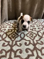 processed/00d233c6-18db-4de4-9689-b847a0ca2324/listing/891eb1ac-673c-49ff-bfb3-d8e404df6eea/21064941-8beb-44c8-9fc3-e9ef9e5d8073