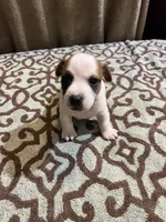 processed/00d233c6-18db-4de4-9689-b847a0ca2324/listing/891eb1ac-673c-49ff-bfb3-d8e404df6eea/508ed9cd-5de7-4090-bf12-e3eddec58f41