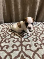 processed/00d233c6-18db-4de4-9689-b847a0ca2324/listing/891eb1ac-673c-49ff-bfb3-d8e404df6eea/ba8b05f1-3bed-4905-a5b9-42822dff58cc