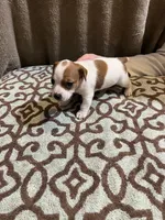 processed/00d233c6-18db-4de4-9689-b847a0ca2324/listing/f1998096-0be0-4f28-b738-d3b88930b02e/3c29d4da-c565-4aef-8366-49373f507ee1