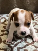 processed/00d233c6-18db-4de4-9689-b847a0ca2324/listing/f1998096-0be0-4f28-b738-d3b88930b02e/76743631-056a-40ce-9702-4c15100877b3