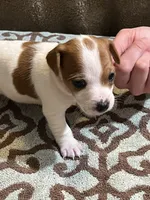 processed/00d233c6-18db-4de4-9689-b847a0ca2324/listing/f1998096-0be0-4f28-b738-d3b88930b02e/9d1ac596-92f9-4a3c-898e-e049a35022fc