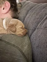 processed/00d386f7-d4d3-4f06-9fbf-5739bfd7fad0/facility/05d6afcd-9153-4fcb-adef-7efdd3ddedaa