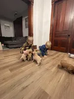 processed/00d386f7-d4d3-4f06-9fbf-5739bfd7fad0/facility/08585f3e-e4b6-4fe8-b7ef-e1f083c7f642