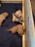 processed/00d386f7-d4d3-4f06-9fbf-5739bfd7fad0/facility/614ec85d-b982-4193-a92d-5a6502a86590