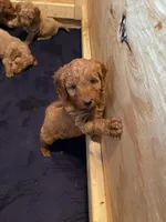 processed/00d386f7-d4d3-4f06-9fbf-5739bfd7fad0/facility/8bb974a5-1823-4415-b791-685f3c6e007a