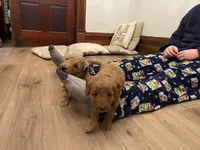 processed/00d386f7-d4d3-4f06-9fbf-5739bfd7fad0/facility/8c454747-feaa-4668-a0dd-09e24585bd0c