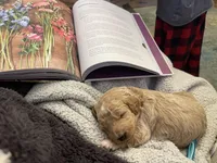 processed/00d386f7-d4d3-4f06-9fbf-5739bfd7fad0/facility/9d091dd6-696f-4088-9625-bfa700a19c98