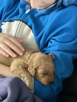 processed/00d386f7-d4d3-4f06-9fbf-5739bfd7fad0/facility/b295bf37-c458-412e-b39e-c78f2b136b9e