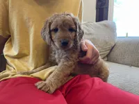 processed/00d386f7-d4d3-4f06-9fbf-5739bfd7fad0/facility/e608ddda-a78e-4f12-91ae-3a023d698b5f