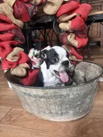 processed/00f2350a-0722-49c7-9d12-fdc2236e2595/listing/6328157b-66f9-4abf-8617-0d6bbfea4726/16146e30-ccdc-46b5-bb9f-9a4c3f06b6dc