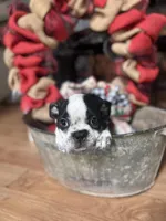 processed/00f2350a-0722-49c7-9d12-fdc2236e2595/listing/6328157b-66f9-4abf-8617-0d6bbfea4726/5e78a05d-6d33-43ee-b8d4-6cbe545ae9ec