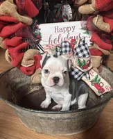 processed/00f2350a-0722-49c7-9d12-fdc2236e2595/listing/8c9a80e5-2827-4866-b95b-4035aadb3560/d36acf61-edc1-48c5-bc1c-d5d974f51207