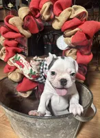 processed/00f2350a-0722-49c7-9d12-fdc2236e2595/listing/8c9a80e5-2827-4866-b95b-4035aadb3560/def37172-2999-4a61-b0b4-1ef8843b5c89