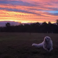 processed/00f2b2fb-c7ae-4145-bdda-d2f63cfbd4e5/facility/477c5883-80d7-4b30-bfe0-d7709d200dad