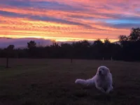 processed/00f2b2fb-c7ae-4145-bdda-d2f63cfbd4e5/facility/477c5883-80d7-4b30-bfe0-d7709d200dad