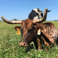 processed/00f2b2fb-c7ae-4145-bdda-d2f63cfbd4e5/facility/5c5a29d5-1d30-4e3b-8a60-6cd8bf454563