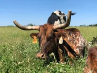 processed/00f2b2fb-c7ae-4145-bdda-d2f63cfbd4e5/facility/5c5a29d5-1d30-4e3b-8a60-6cd8bf454563