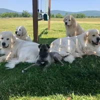 processed/00f2b2fb-c7ae-4145-bdda-d2f63cfbd4e5/facility/87d8b161-d109-46cc-806f-5d7d321c7123