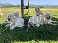 processed/00f2b2fb-c7ae-4145-bdda-d2f63cfbd4e5/facility/87d8b161-d109-46cc-806f-5d7d321c7123