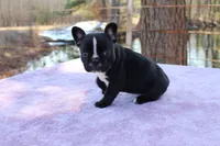 processed/01093865-f91a-4197-ac8c-c2f06b109951/listing/6915e343-d679-43a2-9c7b-67257c75590c/35a238d4-bd68-4299-bfac-a26829705aff