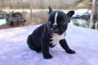 processed/01093865-f91a-4197-ac8c-c2f06b109951/listing/6915e343-d679-43a2-9c7b-67257c75590c/5ca817e4-93a1-4891-a216-1b5bcda7b91f