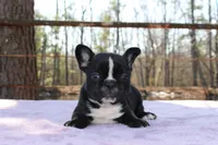 processed/01093865-f91a-4197-ac8c-c2f06b109951/listing/6915e343-d679-43a2-9c7b-67257c75590c/64343e7d-1cf6-4986-b32b-a02b46f95f20