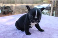 processed/01093865-f91a-4197-ac8c-c2f06b109951/listing/6915e343-d679-43a2-9c7b-67257c75590c/7c6b7b22-a492-4e99-9a18-25318513c64e